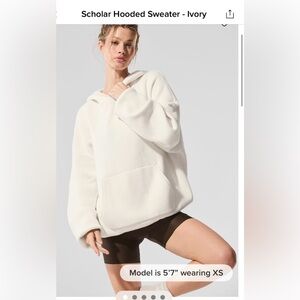 Alo Scholar Hooded Sweater - Ivory XS